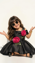 Midnight Rose Elegance Party Dress