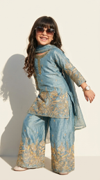 Sky Blue Royale Embroidered Salwar Suit Set