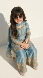 Sky Blue Royale Embroidered Salwar Suit Set