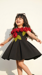 Midnight Rose Designer Party Dress
