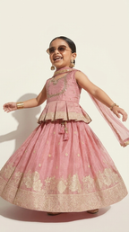 Blush Pink Gold Zari Anarkali Lehenga Set