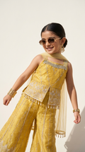 Mustard Gold Embroidered Palazzo Set