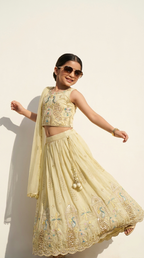 Ivory Peacock Embroidered Lehenga Set