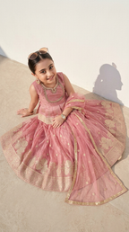 Blush Pink Gold Zari Anarkali Lehenga Set