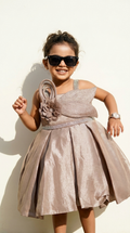 Champagne Taupe Floral Embellished Party Dress