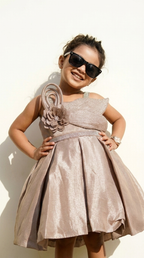 Champagne Taupe Floral Embellished Party Dress