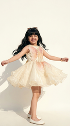 Enchanted Butterfly Shimmer Party Dress