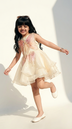 Enchanted Butterfly Shimmer Party Dress