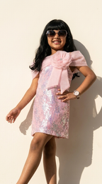 Blush Aurora Sequin Party Dress