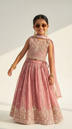 Rosewood Blush Zari Embroidered Lehenga Set