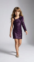 Plum One-Shoulder Sequin Dress