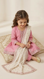 Blush Pink Embroidered Festive Suit Set