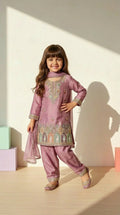 Blush Pink Embroidered Festive Suit Set