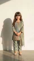 Mint Green Embroidered Festive Suit Set