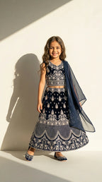 Royal Navy Embroidered Lehenga Set