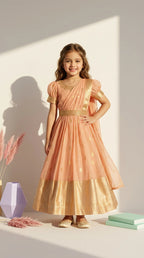 Peach Draped Ethnic Gown
