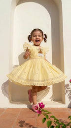 Sunshine Doll Embroidered Party Dress
