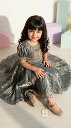 Silver Charm Party Gown