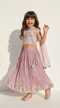 Dusty Pink Embellished Lehenga Set