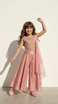 Blush Pink Embroidered Palazzo Set