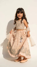 Champagne Beige Embroidered Lehenga Set