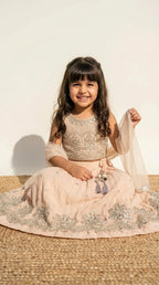 Champagne Beige Embroidered Lehenga Set