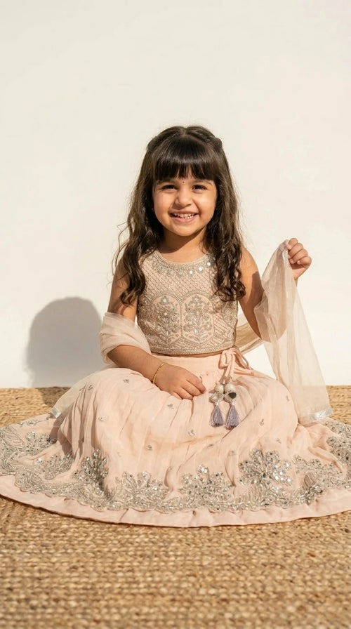 Champagne Beige Embroidered Lehenga Set