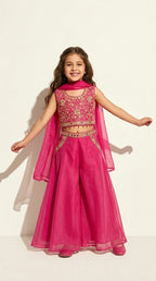 Rani Pink Embroidered Festive Sharara Set