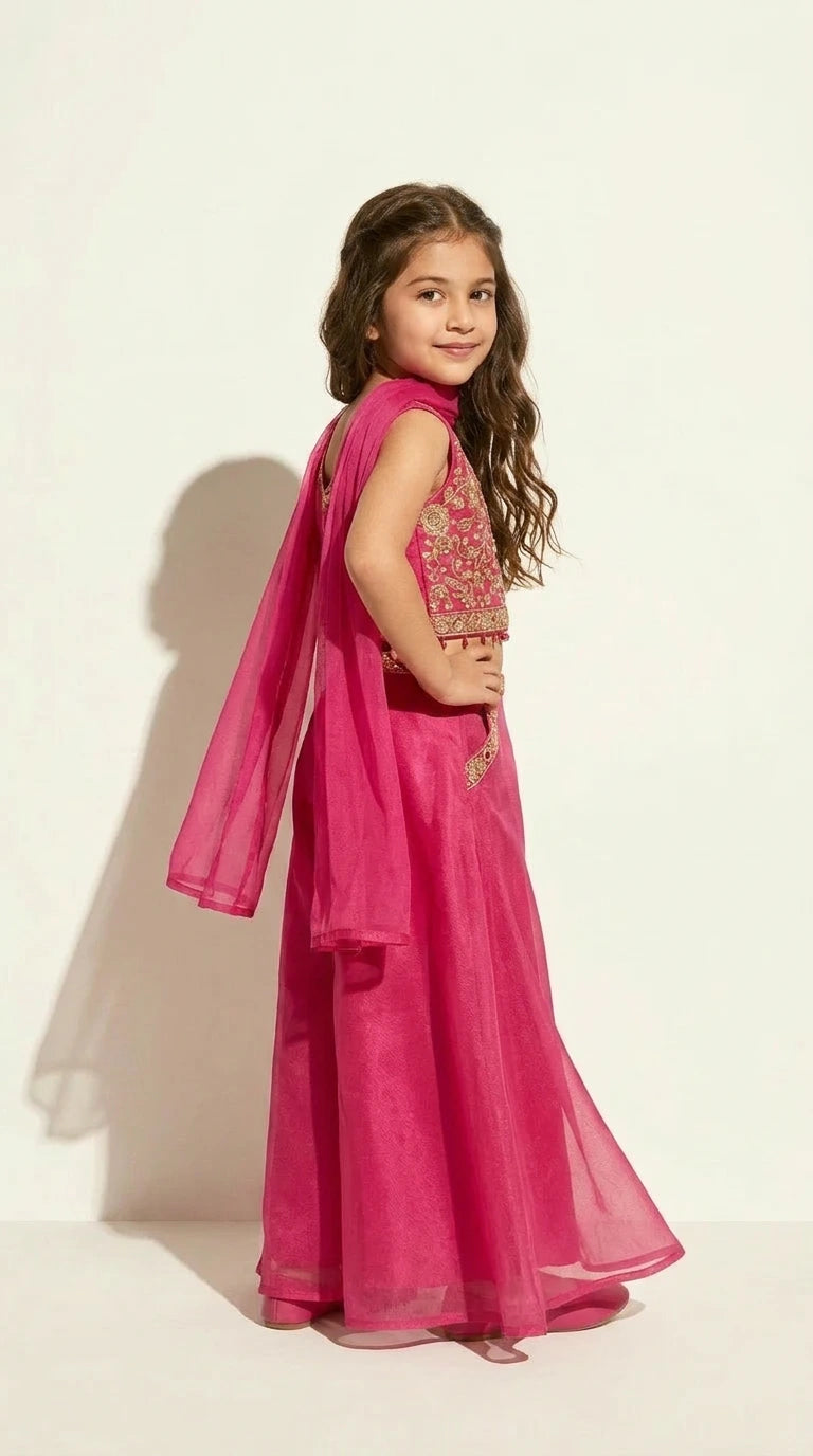 Rani Pink Embroidered Festive Sharara Set