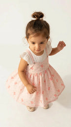 Blush Butterfly Baby Dress